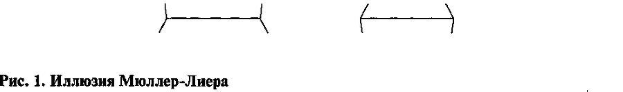 Психиатрия. Руководство для врачей - ris1.jpg