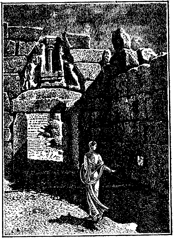 Чаша бурь - pic_1.png