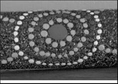 Ворота в другие миры - i_011.jpg