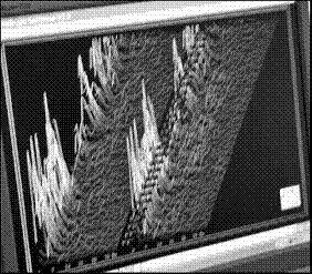 Ворота в другие миры - i_022.jpg