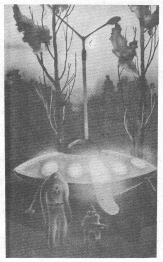 НЛО в Воронеже - _5.jpg