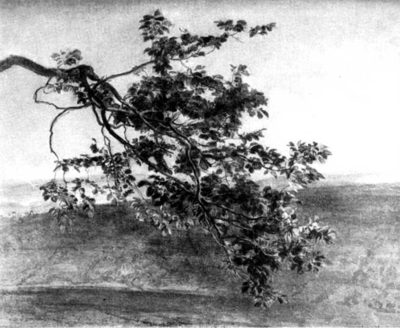 Александр Иванов - i_016.jpg