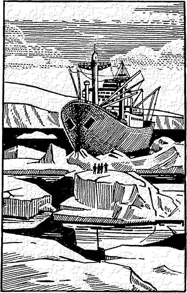 Я познаю мир. Арктика и Антарктика - _36.jpg