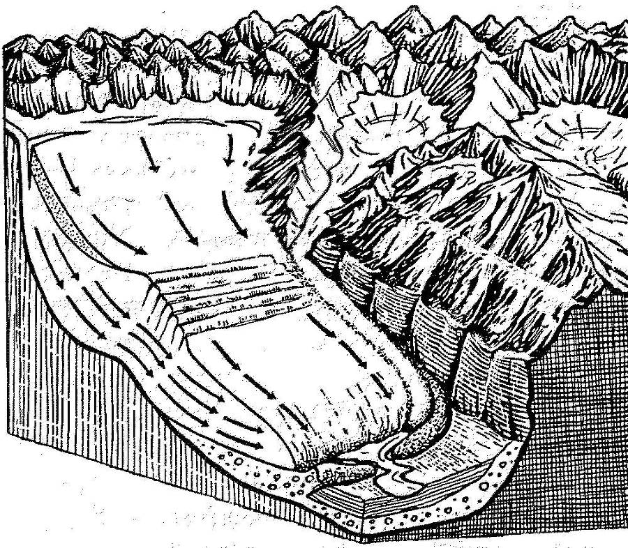 Я познаю мир. Арктика и Антарктика - _19.jpg