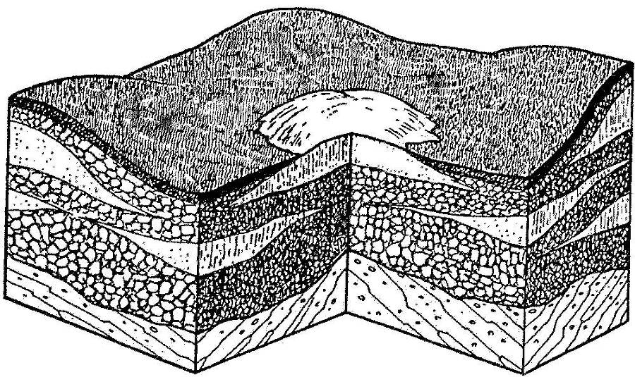 Я познаю мир. Арктика и Антарктика - _24.jpg