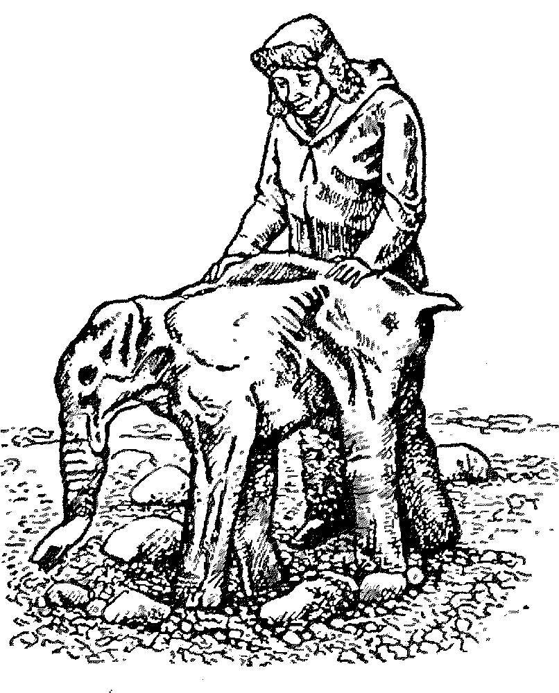 Я познаю мир. Арктика и Антарктика - _23.jpg