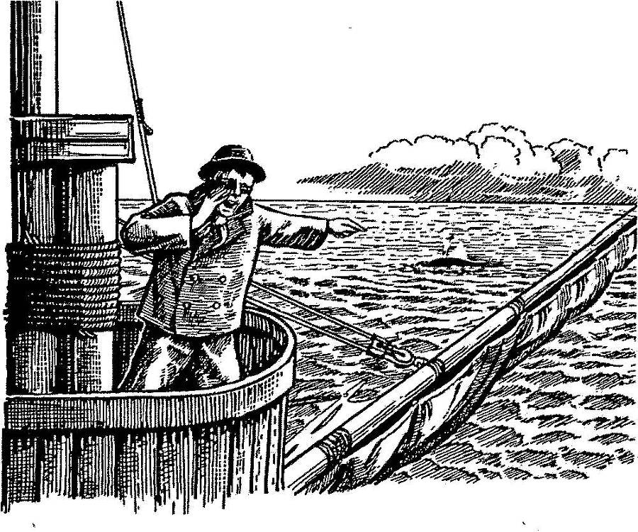 Я познаю мир. Арктика и Антарктика - _113.jpg