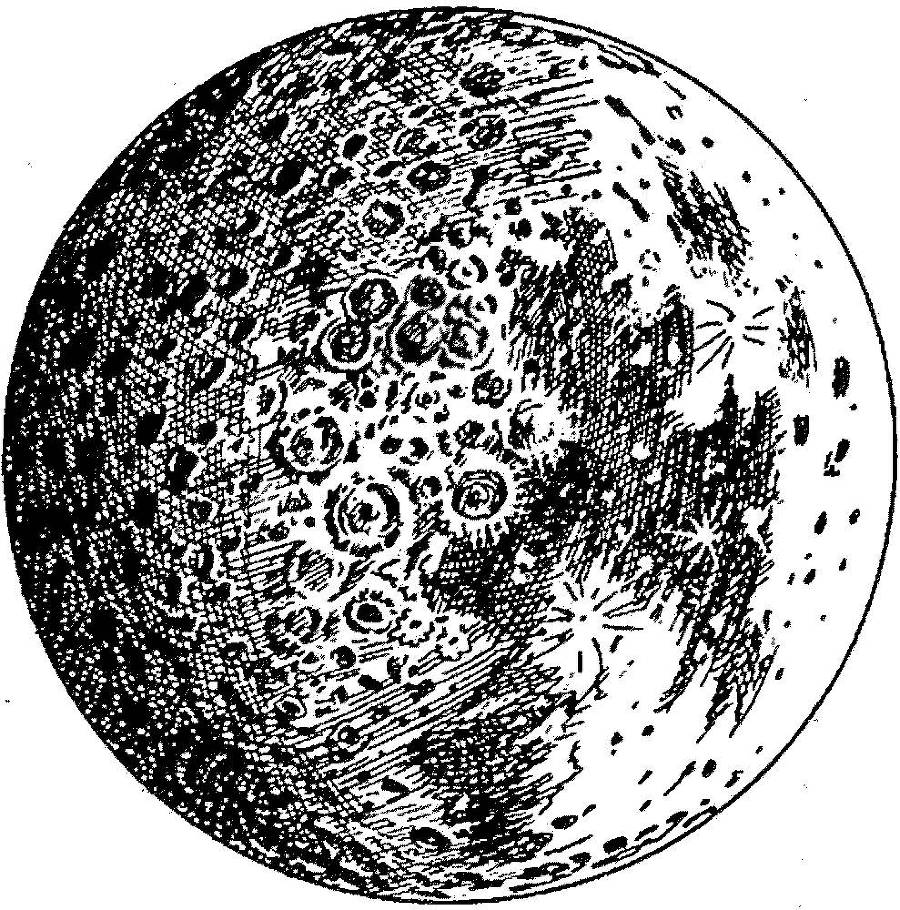 Я познаю мир. Арктика и Антарктика - _34.jpg
