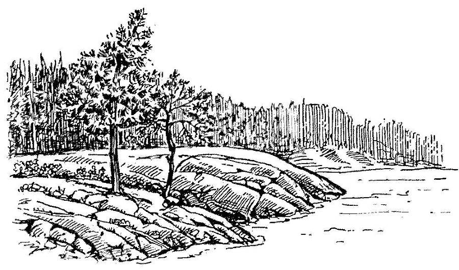 Я познаю мир. Арктика и Антарктика - _22.jpg