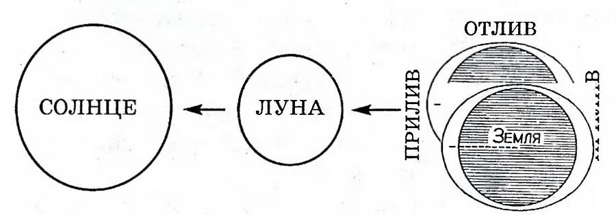 Я познаю мир. Арктика и Антарктика - _14.jpg