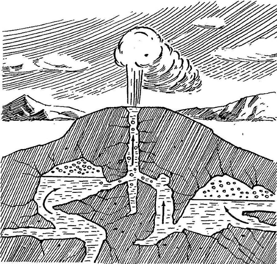 Я познаю мир. Арктика и Антарктика - _51.jpg