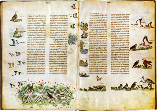 Домашний музей - i_126.png