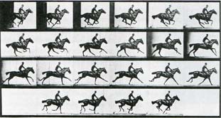 Домашний музей - i_211.jpg