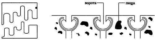 Четвертое измерение. Является ли наш мир тенью другой Вселенной? - _45.jpg