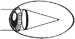 Сними очки за 10 занятий - _04.png