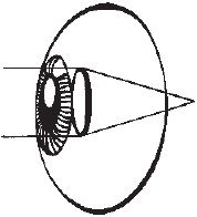 Сними очки за 10 занятий - _05.png