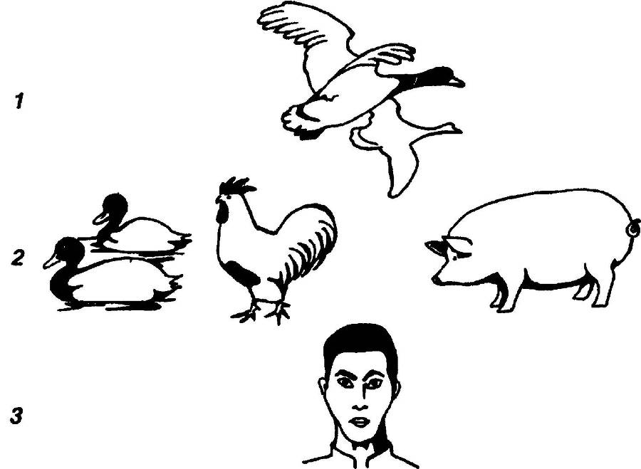 Я познаю мир. Вирусы и болезни - _21.jpg