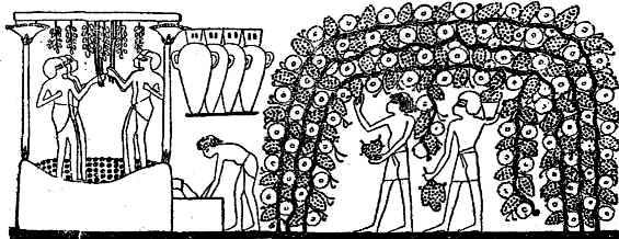 Древний Восток - i_027.png