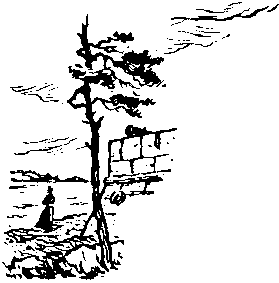 Бестужев-Марлинский - image46.png