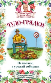 Чудо-грядки: не копаем, а урожай собираем - автор Кизима Галина Александровна 