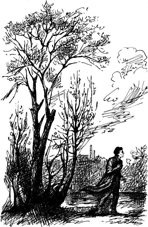 Стихотворения. Поэмы. Театр - i_003.jpg