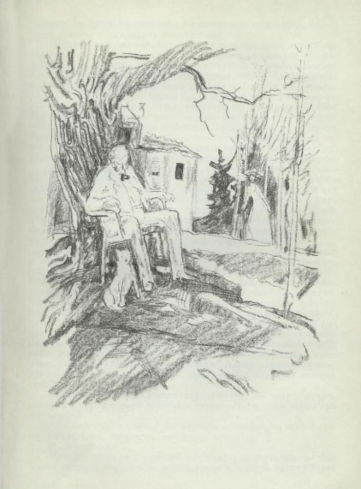 Сага о Форсайтах, том 1 - p12.jpg