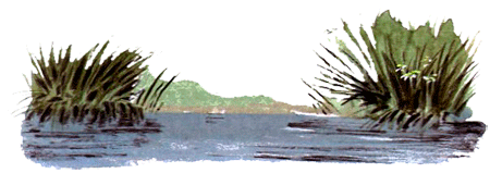 Под крыльцом - img28.png