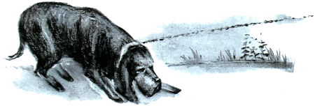 Под крыльцом - img30.png