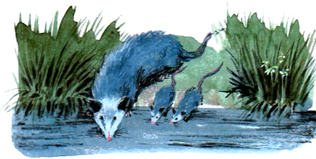 Под крыльцом - img51.png