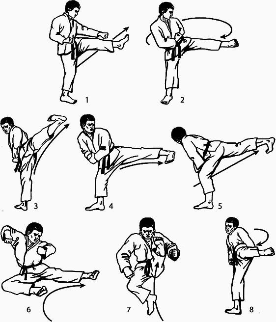 Энциклопедия каратэ - _116786.png