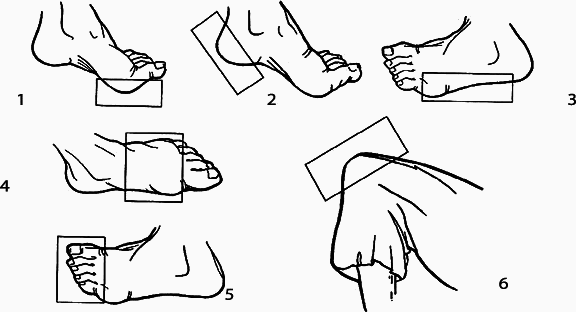 Энциклопедия каратэ - _116864.png