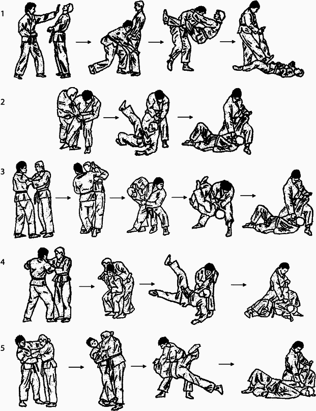 Энциклопедия каратэ - _116924.png