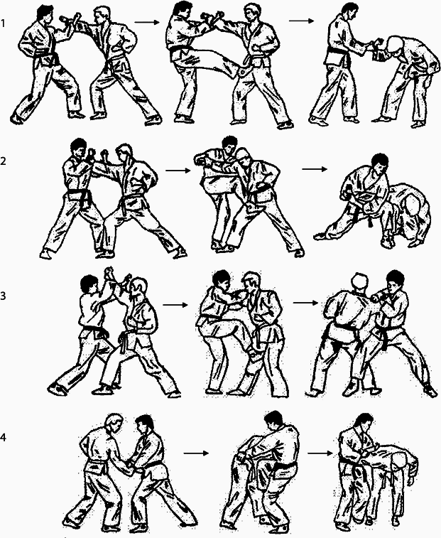 Энциклопедия каратэ - _116949.png