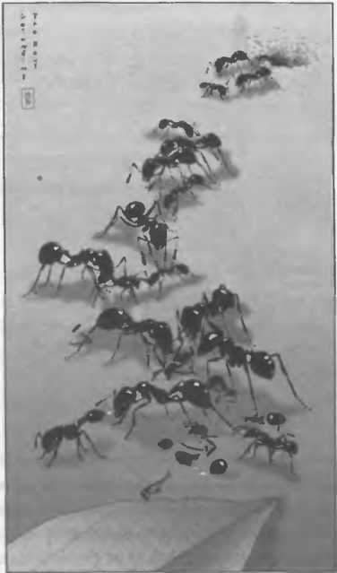 Хозяева Земли - _26.jpg