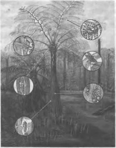 Хозяева Земли - _33.jpg