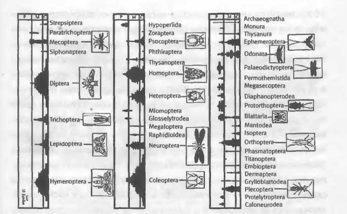 Хозяева Земли - _34.jpg