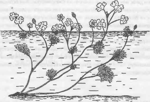 Хозяева Земли - _40.jpg