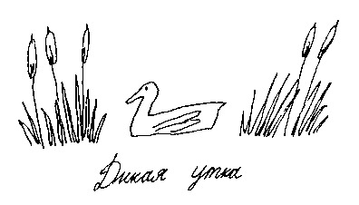 Малыш и река - i_083.png