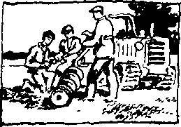 Земные наши заботы - _2.jpg