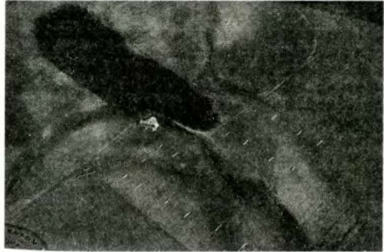 «Муромцы» в бою. Подвиги русских авиаторов - _10.jpg