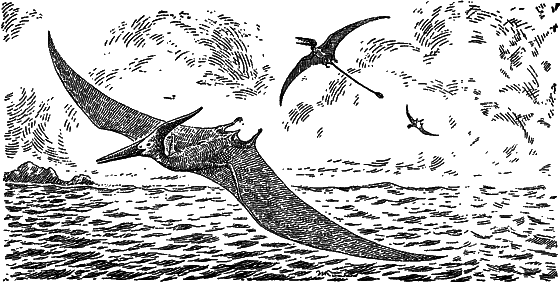 Жизнь моря - i_025.png