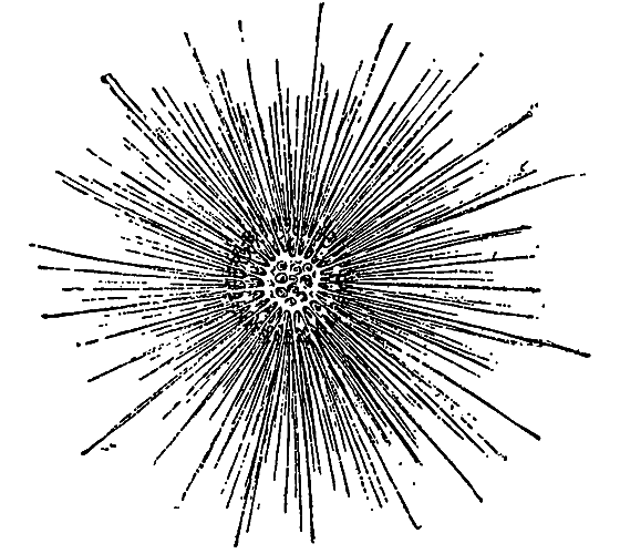 Жизнь моря - i_040.png