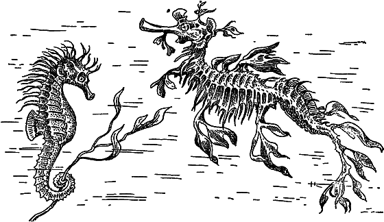 Жизнь моря - i_067.png