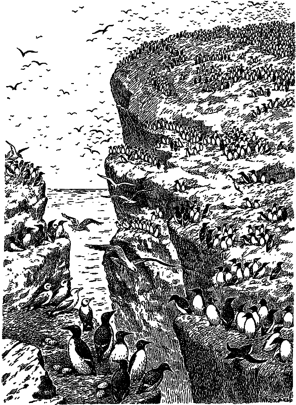 Жизнь моря - i_073.png