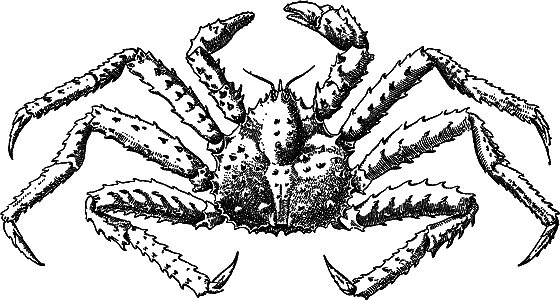 Жизнь моря - i_112.png