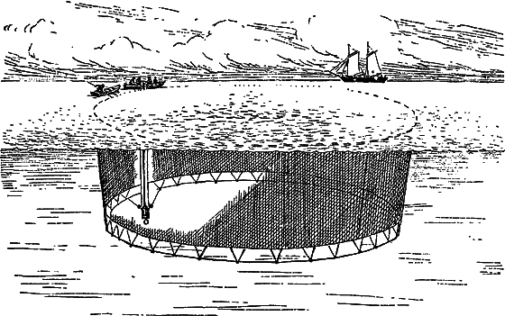 Жизнь моря - i_114.png