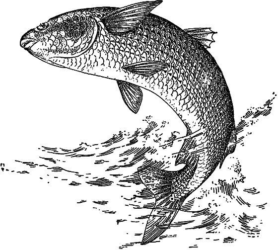 Жизнь моря - i_118.png