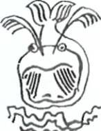 По следам Синдбада Морехода. Океанская Аравия  - _1.jpg