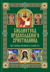 Истины Нового Завета - автор Михалицын Павел Евгеньевич 