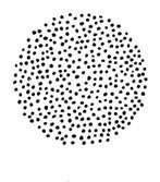 Планиверсум. Виртуальный контакт с двухмерным миром - img_002.jpg